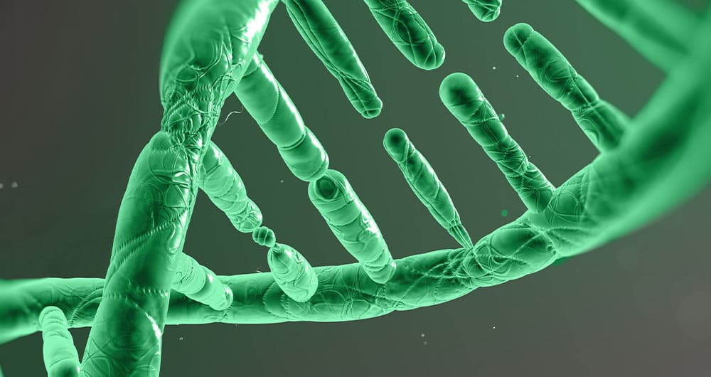 Medizinische Genetik bei YEARS