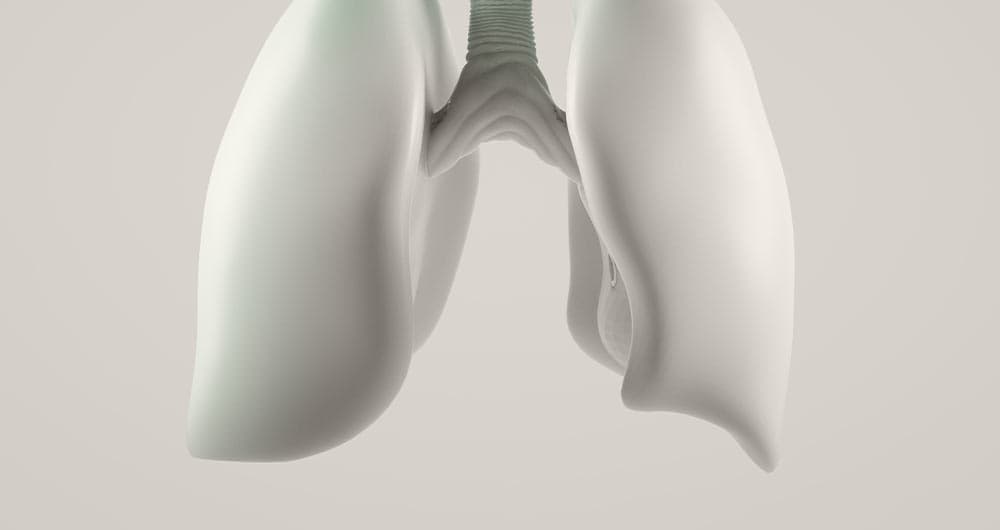 VO2max-Messung bei YEARS — Spiroergometrie mit Atemgasanalyse