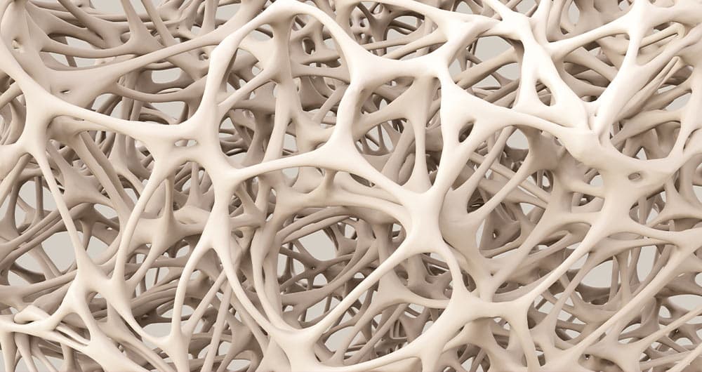 Trabecular bone structure, bone density measurement at YEARS
