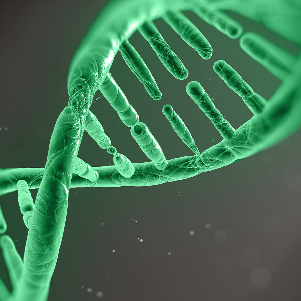 YEARS Ultimate Genetics