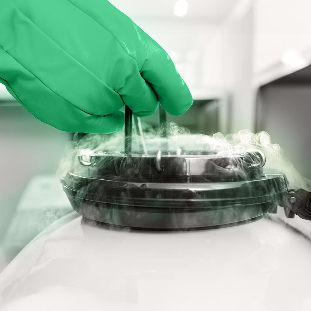 YEARS Ultimate Biological Safe