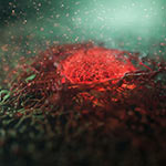 YEARS-Strukturdiagnostischer-Organultraschall